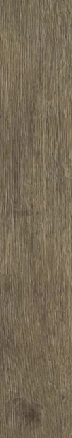 Ragno Inedito Cenere 20x120