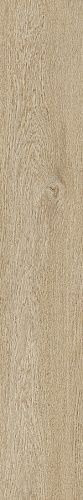 Ragno Ossimori Avorio Extra Matt Rett 20x120