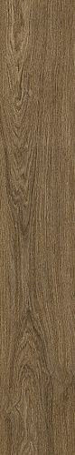 Ragno Ossimori Marrone Extra Matt Rett 20x120