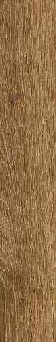 Ragno Ossimori Miele Extra Matt Rett 20x120