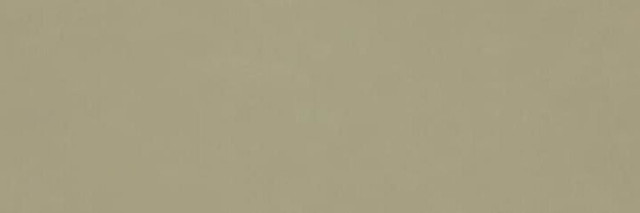 Ragno Vida Verde Rett 30x90