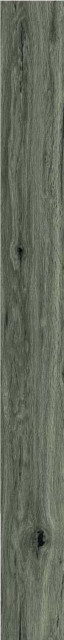 Ragno Woodclassic Tortora 10x100