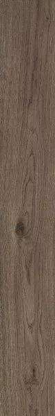 Ragno Vivo Castano Matt Rett 20x150H0.9