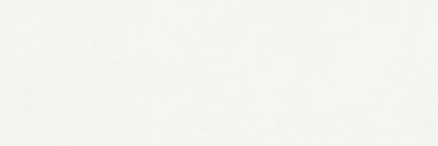 Ragno Vida Bianco Rett 30x90