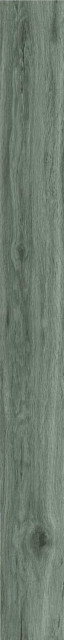 Ragno Woodclassic Grigio 10x100