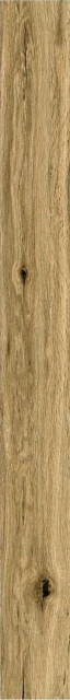 Ragno Woodclassic Beige 10x100
