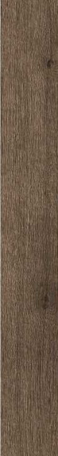 Ragno Woodreal Marrone 9mm 13x100H0.9