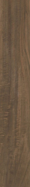 Ragno Woodstyle Noce R365 20х120