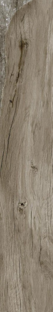 Ragno Woodmania Ash 20х120