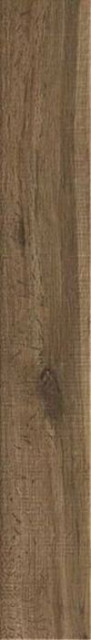 Ragno Woodglam Tortora 10х70