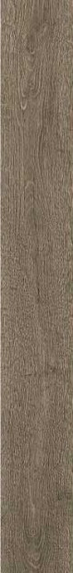 Ragno Woodreal Tortora 9mm 13x100H0.9