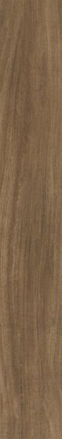 Ragno Woodessence Walnut 10х70