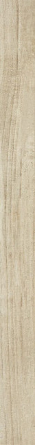 Ragno Woodstyle Fa R36F 10х120
