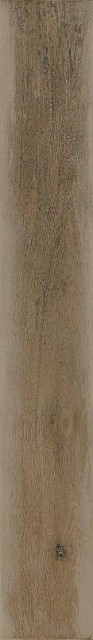 Ragno Woodcraft Beige 10x70