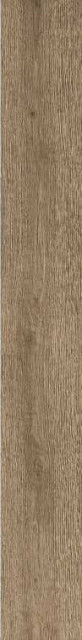 Ragno Woodreal Caramello 9mm 13x100H0.9