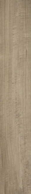 Ragno Woodstyle Acero R362 20х120