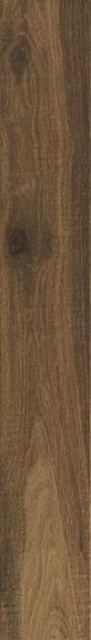 Ragno Woodglam Noce 10х70