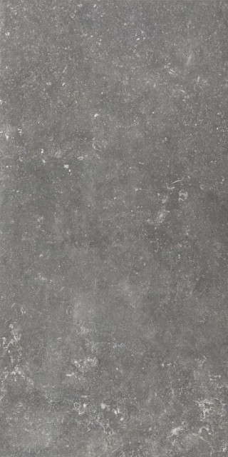 Rex Atmospheres De Rex Charme 60x120