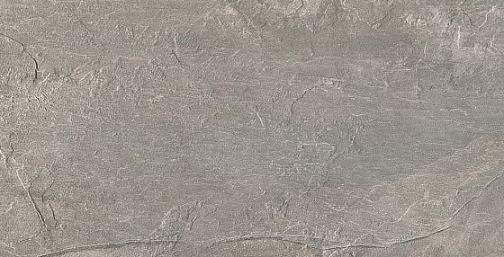 Rex Ardoise Plombe Nat 30,4х60,8