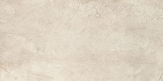 Rex Ardoise Ivoire Nat 40х80