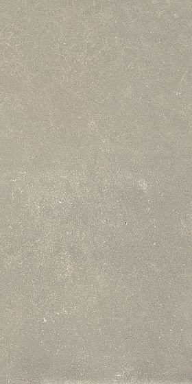 Rex Espirit De Rex Neutral Gris 60х120