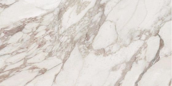 Rex Ceramiche I Bianchi di Rex Calacatta Nat 60x30