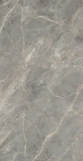 Rex Etoile De Rex Gris Glossy 6mm 120х240
