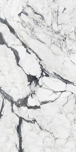 Calacatta Altissimo Blanc Glossy 60х120