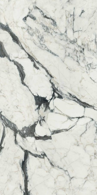 Calacatta Altissimo Blanc Matte 120х240