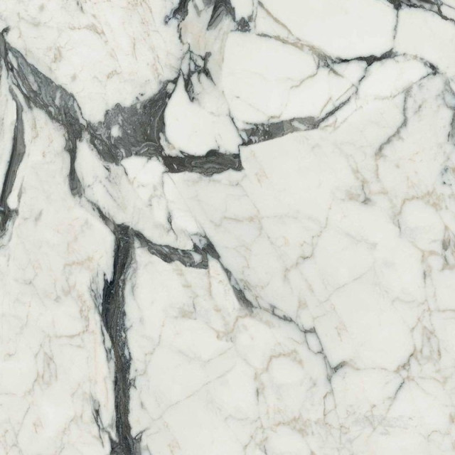 Calacatta Altissimo Blanc Matte 60х60