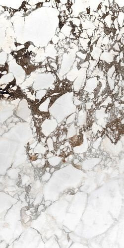 Brèche Capraia Glossy 60х120