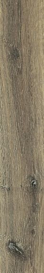 Rex Planches de Rex Noisette 20х120