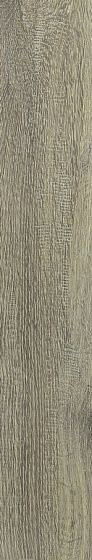 Rex Planches de Rex Miel 20х120