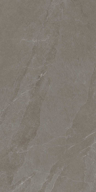 RHS Angers Olive Advance Ret 60x120H0.85