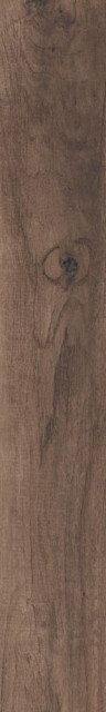 RHS Aspen Brown 15х100