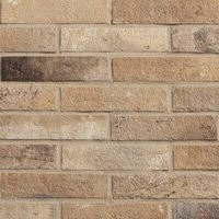 RHS Brick Antico Сasale Оcra 6х25