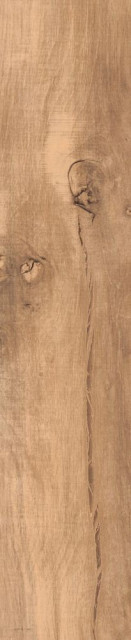 RHS Aspen Beige 20,5х100