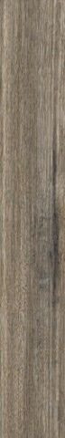 RHS Bosco Ash St/Dakota 15х100