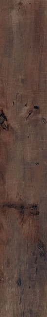 RHS Aspen Dark Strong 15х100