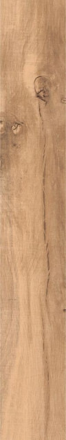 RHS Aspen Beige Strong 15х100