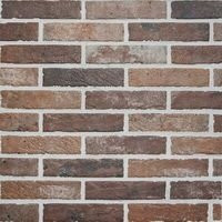 RHS Old Red Brick 6х25
