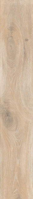 RHS Cortina Beige 24x120