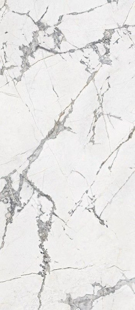 RHS Canova Invisible Lappato 120×280