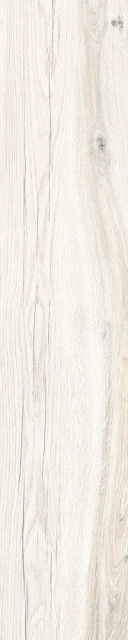 RHS Daring Ivory 24x120
