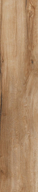 RHS Daring Nut 24x120