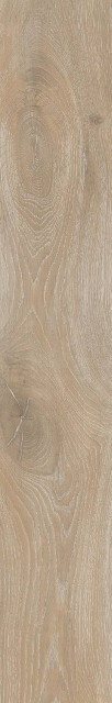 RHS Cortina Honey 24x120
