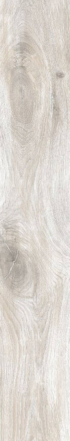 RHS Cortina Ivory 24x120