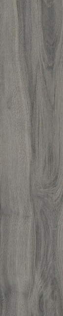 RHS Daring Dark 24x120