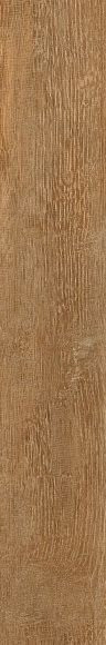 RHS Greenwood Noce 24х120
