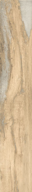 RHS Infusion Birch 24x150